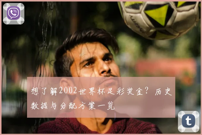 想了解2002世界杯足彩奖金?历史数据与分配方案一览