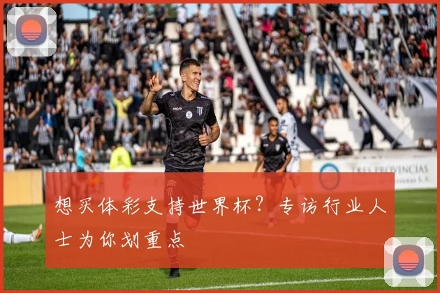 想买体彩支持世界杯?专访行业人士为你划重点