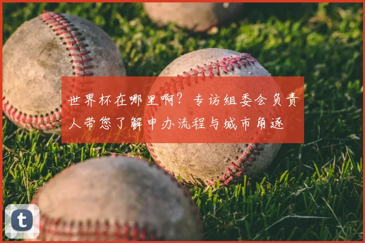 世界杯在哪里啊？专访组委会负责人带您了解申办流程与城市角逐