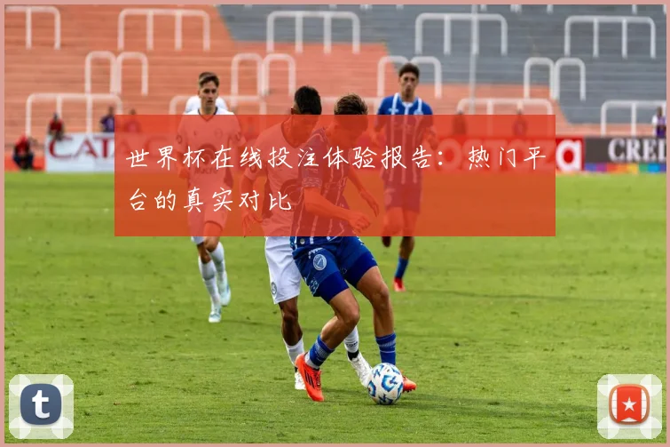 世界杯在线投注体验报告：热门平台的真实对比