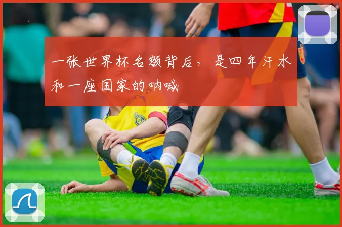 一张世界杯名额背后，是四年汗水和一座国家的呐喊