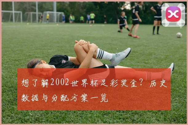 想了解2002世界杯足彩奖金？历史数据与分配方案一览