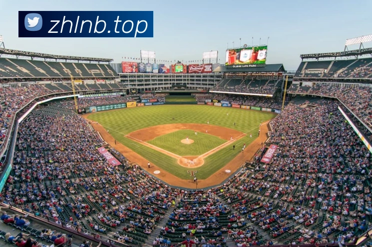 奇异果体育官方网址平台生态图