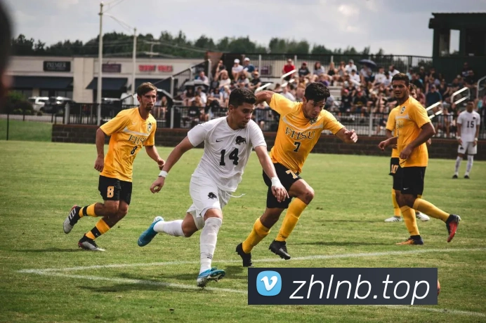 奇异果体育官方网址APP 封面图